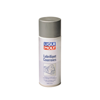 Liqui Moly 7050 Bidon Vide pour Distributeur d'Huile, 5L : : Autres